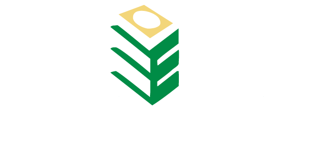 Brasil Vertical Engenharia